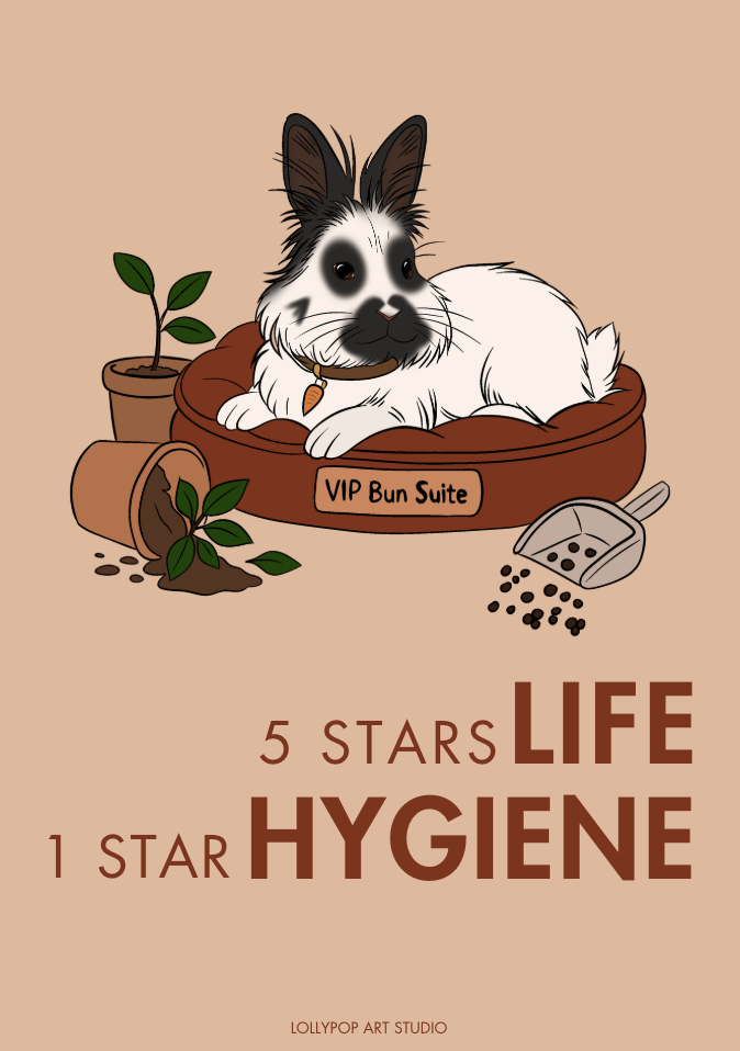 Affiche personnalisée 🐾
