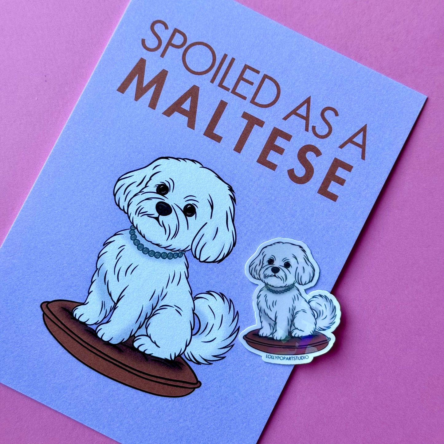 NEW Sticker Bichons Maltais