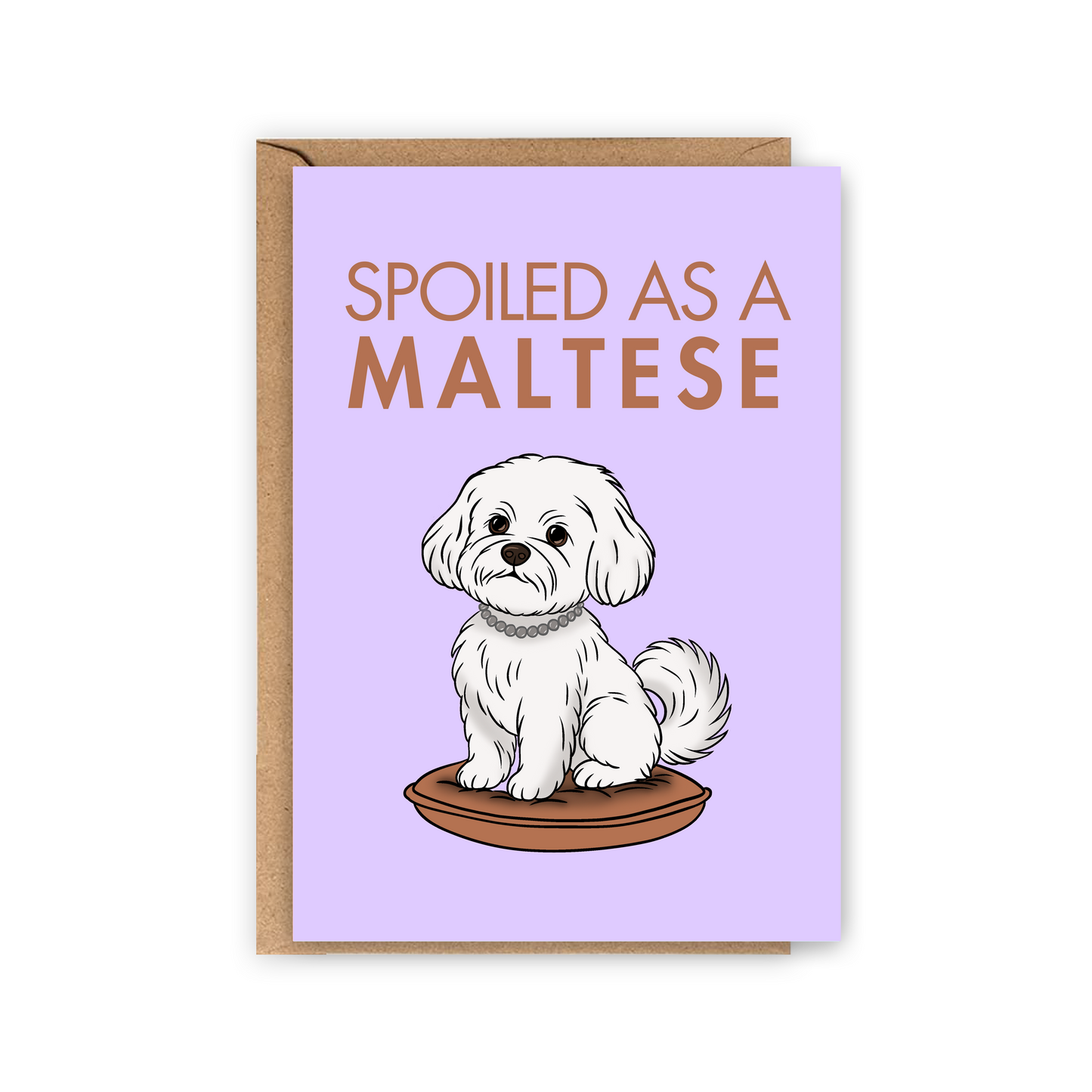 Carte Spoiled as a Maltese - Bichons maltais