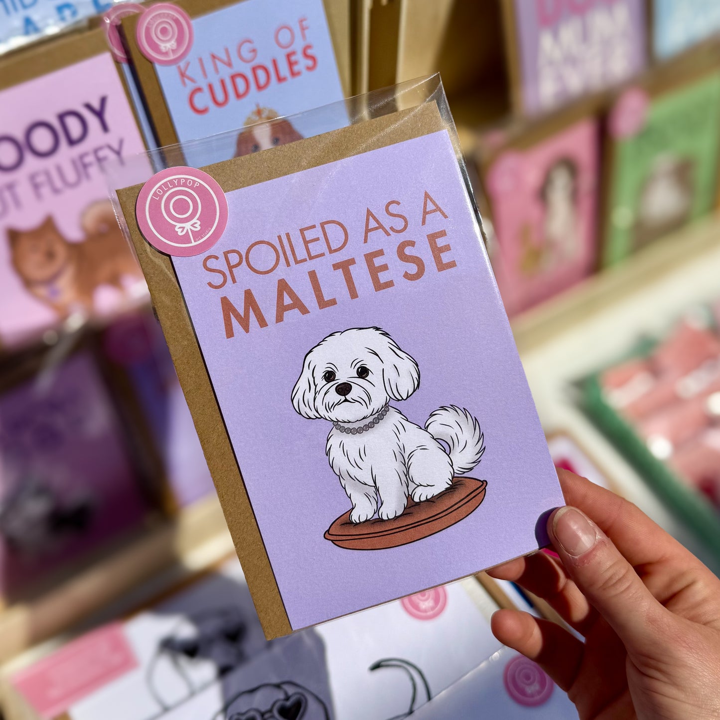 Carte Spoiled as a Maltese - Bichons maltais