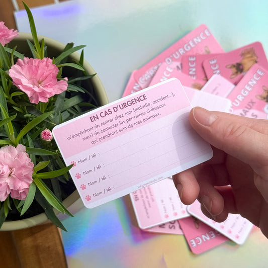 Carte urgences animaux rose