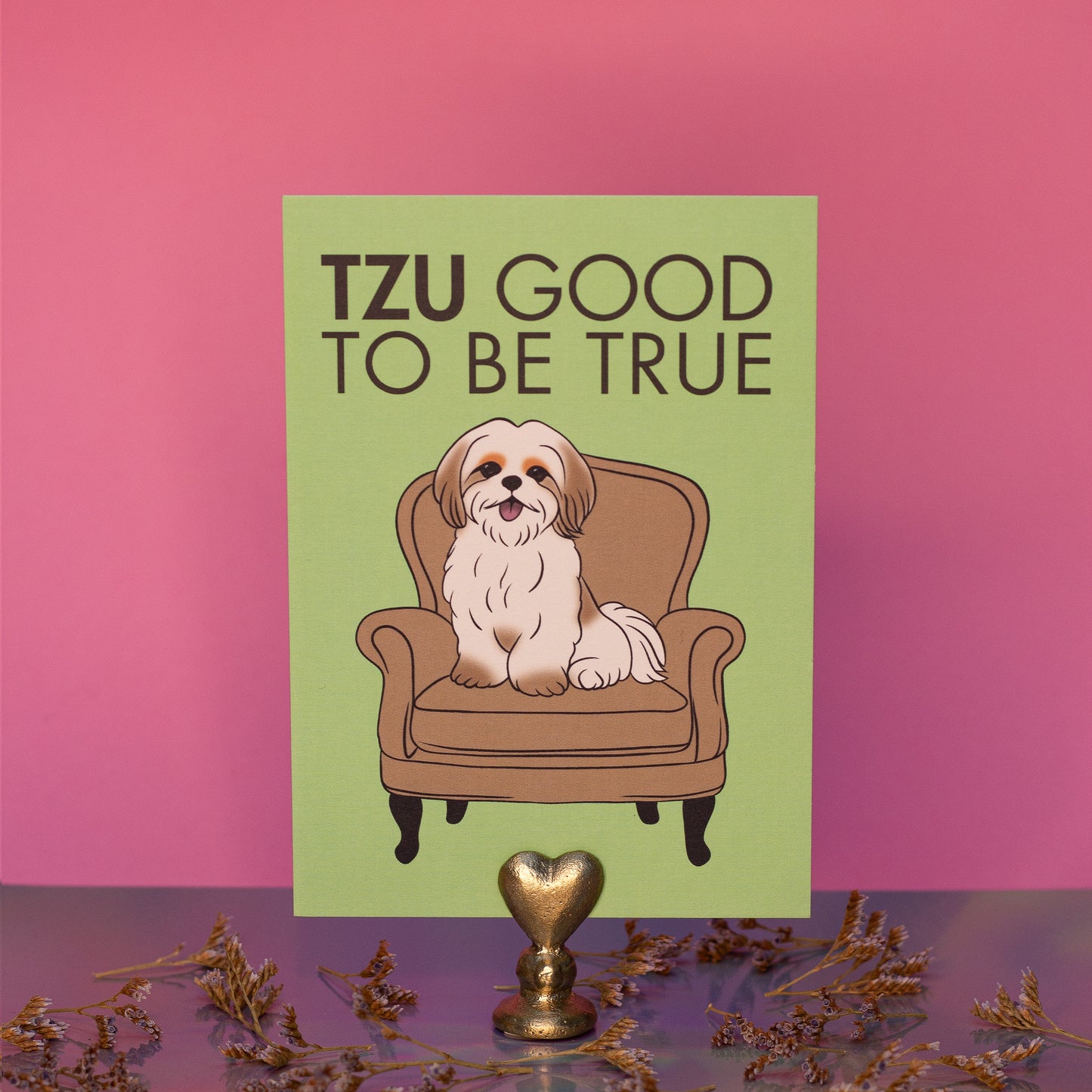 Carte Tzu good to be true - Shih Tzu