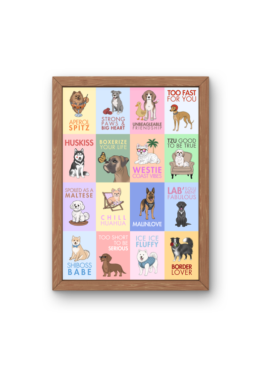 Affiche - 16 illustrations