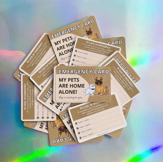 Carte urgences animaux beige ENGLISH VERSION