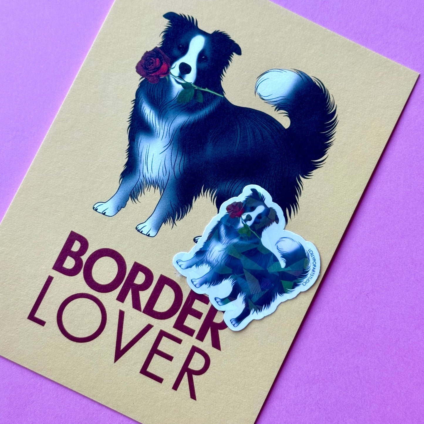 NEW Sticker Border Collie