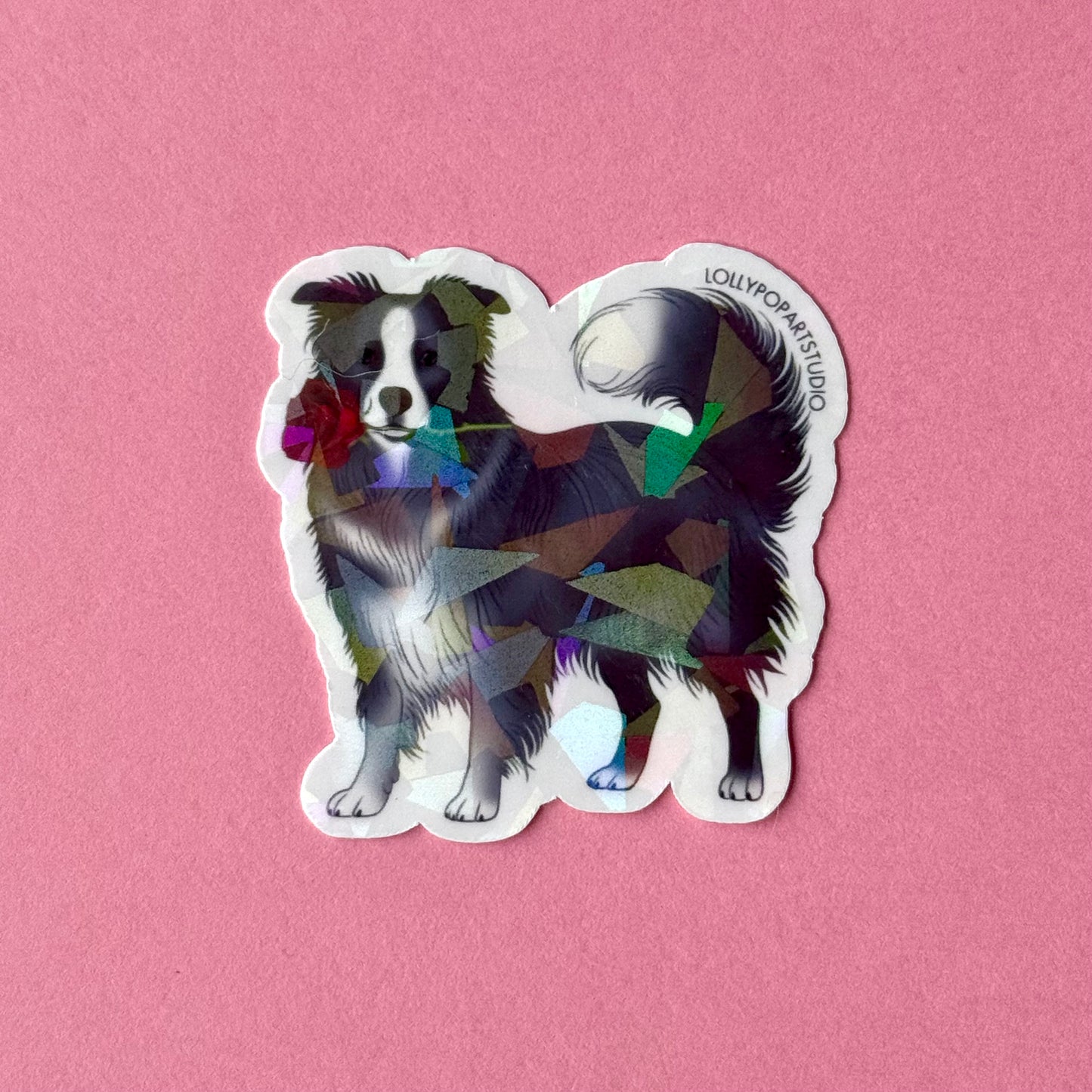 NEW Sticker Border Collie