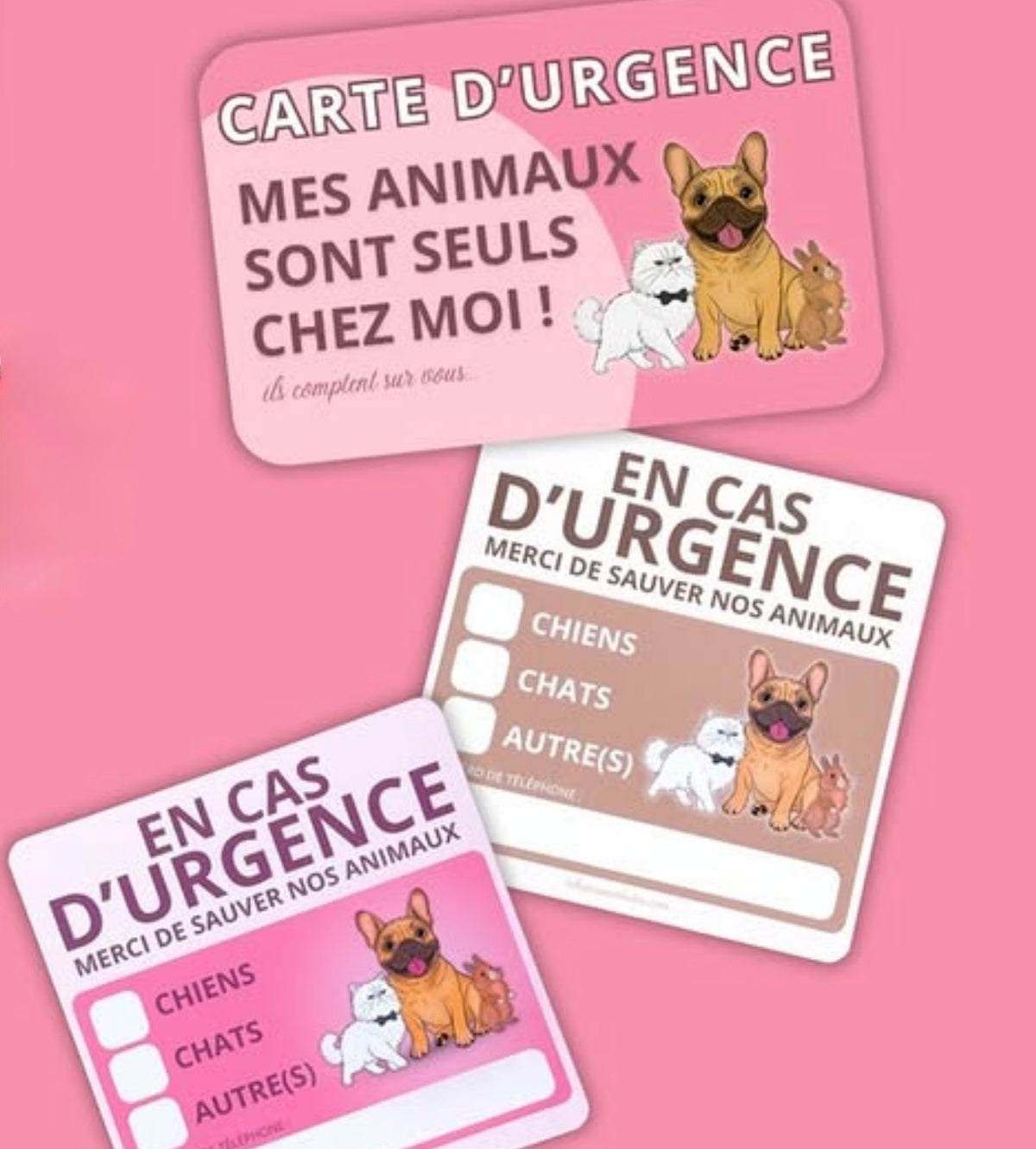 Carte urgence animaux à domicile, contact à prévenir en cas d'accident, beige