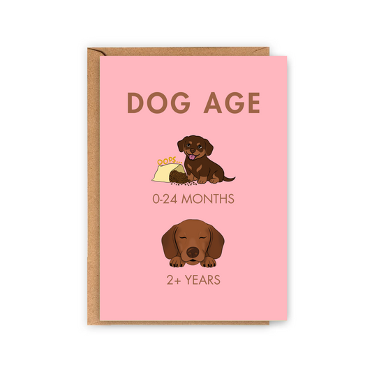 Carte DOG AGE